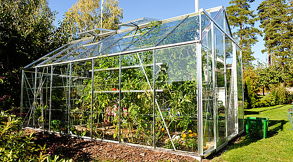 Serre de jardin en Polycarbonate transparent