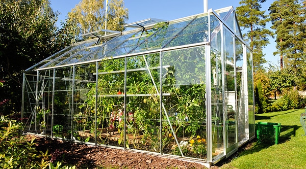 Serre de jardin équipée de plaques de polycarbonate compact transparent découpées sur mesure